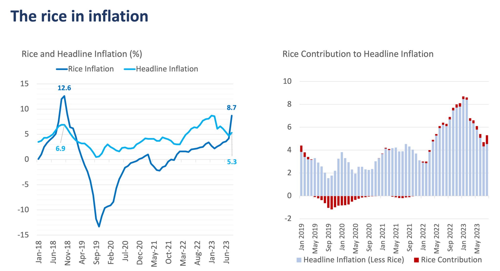 Examining Rice’s Price Inflation | Metrobank Wealth Insights