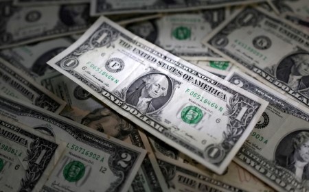 Dollar climbs for the week, cyber outage unsettles investors