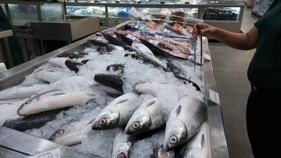 Fish at the wet market