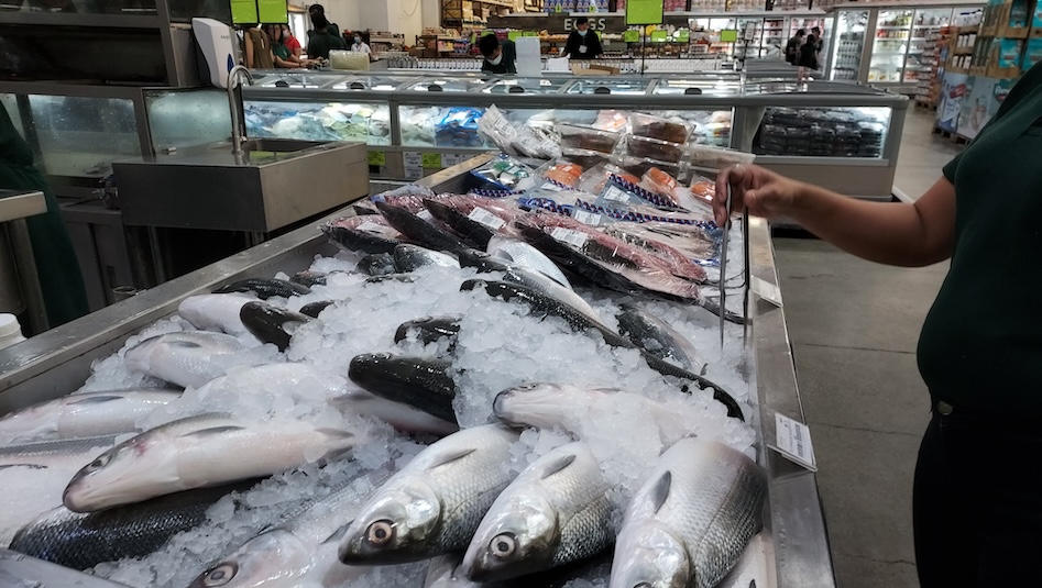 Fish being sold in the wet market