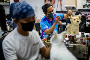 Manufacturing PMI expands in June