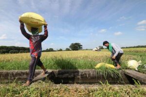 Philippine trade concessions to US won’t ‘harm’ local producers