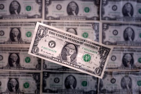 Dollar under pressure, safe havens rise as Trump ups tariff ante over Greenland