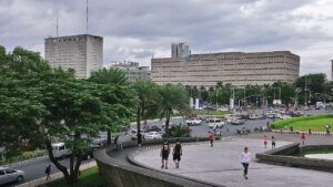 Featured Article Image