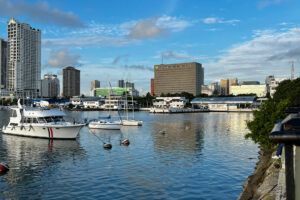 Featured Article Image