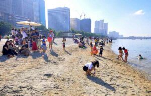 Featured Article Image