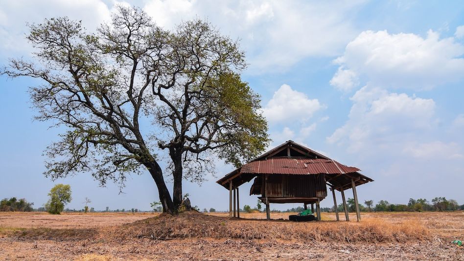 Turning up the heat: El Niño likely by mid‑2026 