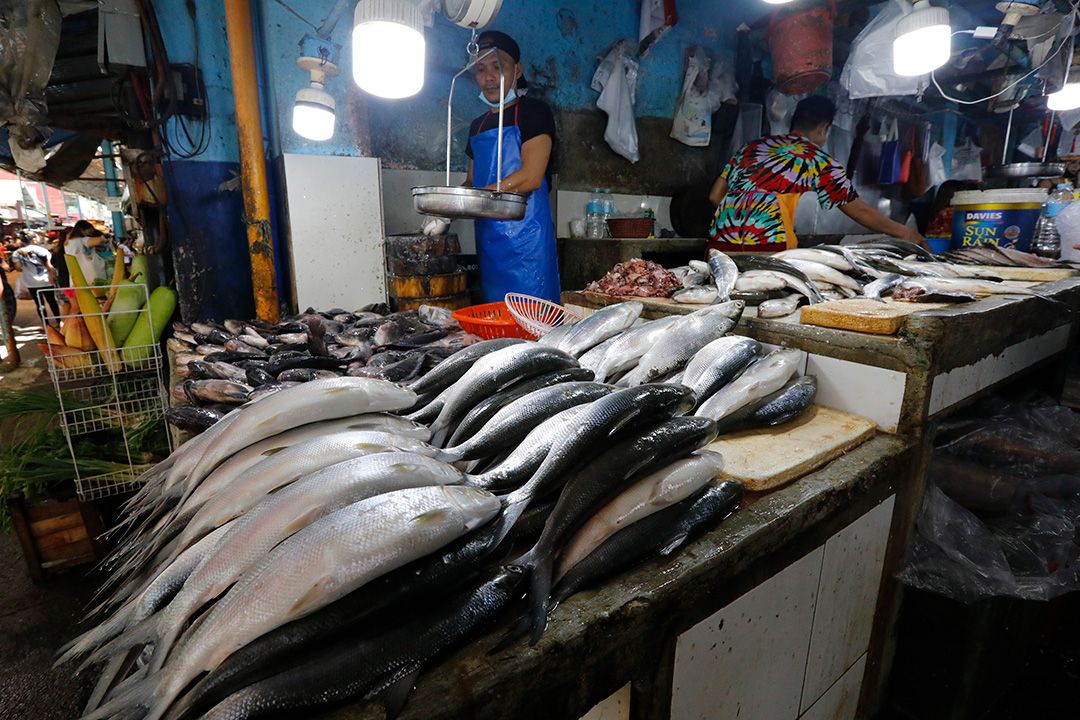 Featured Article Image