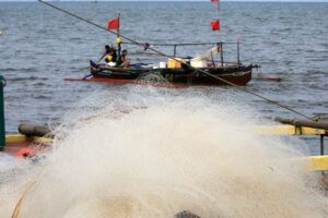 Featured Article Image