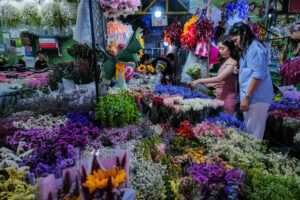 Featured Article Image