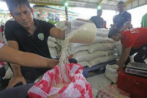 Featured Article Image