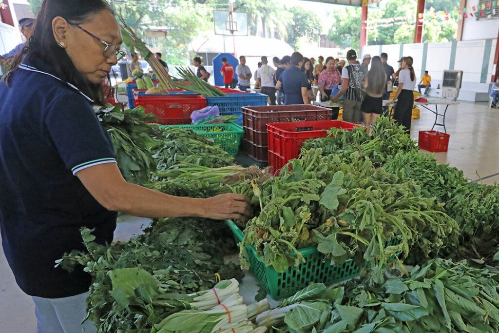 Featured Article Image