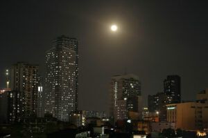 Featured Article Image