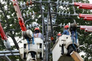 Featured Article Image