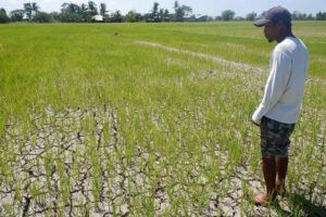 Featured Article Image