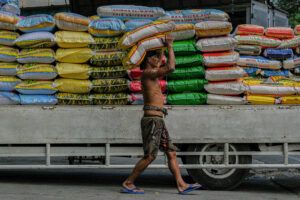 Featured Article Image