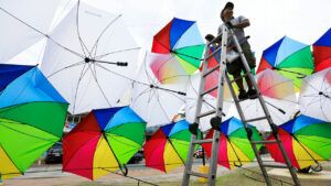 Featured Article Image