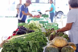 Featured Article Image