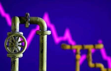 Featured Article Image