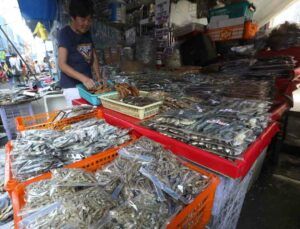 Featured Article Image