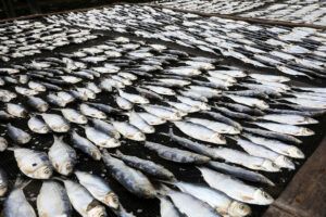 Featured Article Image