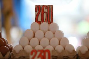 Featured Article Image