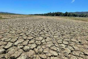 Featured Article Image