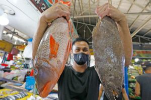 Featured Article Image