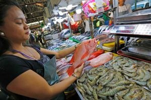 Featured Article Image