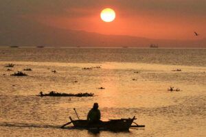 Featured Article Image