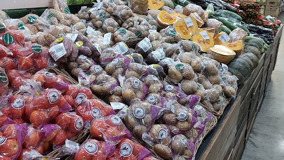 Featured Article Image