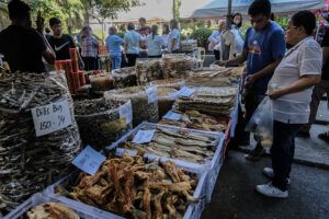 Featured Article Image