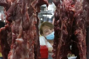 Featured Article Image