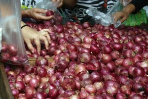 Featured Article Image