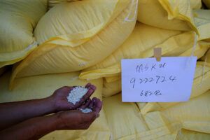 Featured Article Image