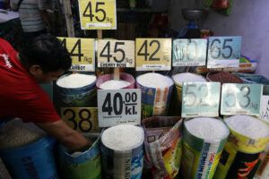 Featured Article Image