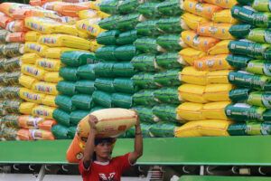 Featured Article Image