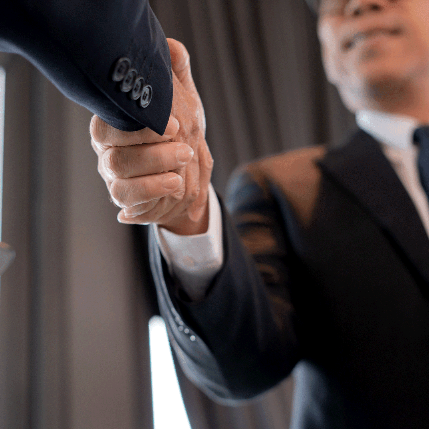 Professional business handshake