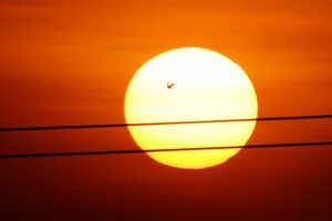 Featured Article Image