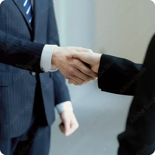 Professional business handshake
