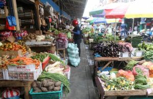 Featured Article Image