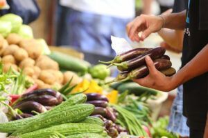 Featured Article Image