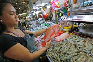 Featured Article Image